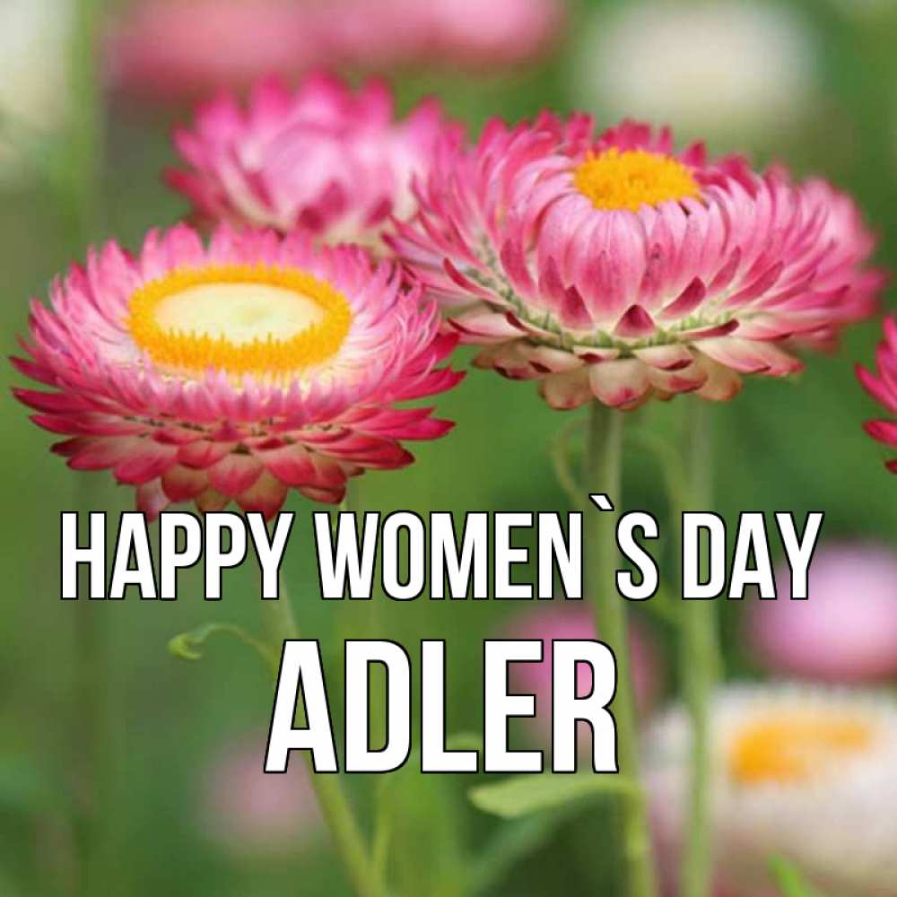 Greetings card с именем, Adler happy women`s day подарок на международный женский день Greetings with text for free download 